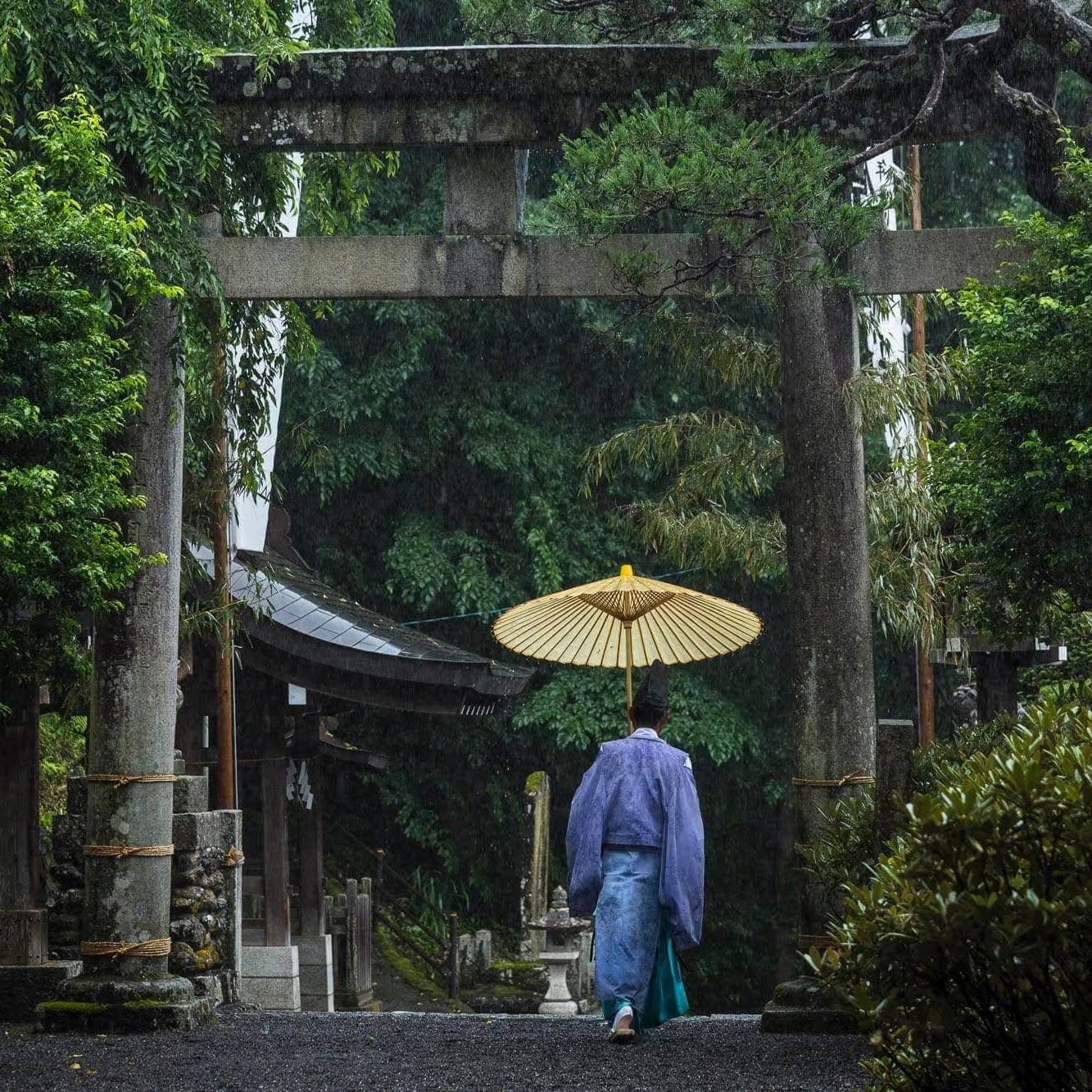 雨季の境内